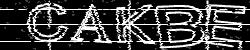 CAPTCHA
