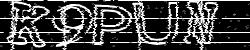 CAPTCHA