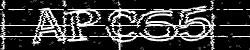 CAPTCHA