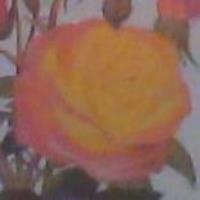 Rose Petals Avatar
