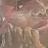Scarlette Patricia Howard  Avatar