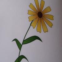 Daisy  Meadows Avatar