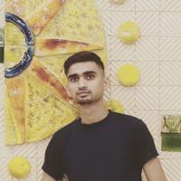 Aryan  Raj Avatar