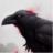 Raven Mirthwood