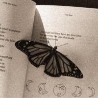 Samline's Poetry Avatar