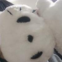 Mhachoni  R Odyuo Avatar
