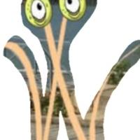 Tyler Perkins Avatar
