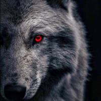 El TheLoneWolf Avatar