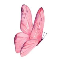 Butterfly Walking Avatar