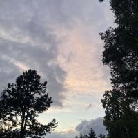 serene faery Avatar