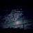 Gary Thomas  Walker Avatar