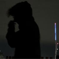 shay's archive Avatar