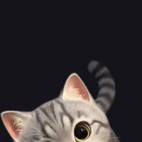 George  Lindsey Avatar