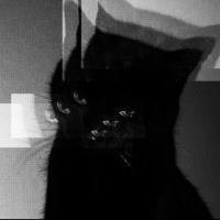 Natalie Weschler Avatar