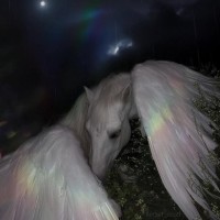 sacred ultraviolence Avatar