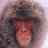 Avery Murray Avatar