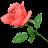 Rose Church Avatar