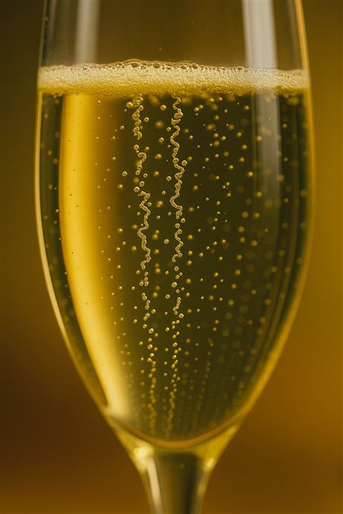 fizz