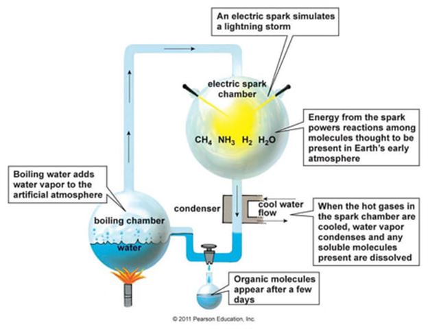 primordial soup