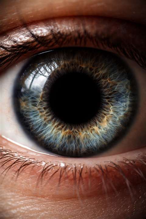 eye