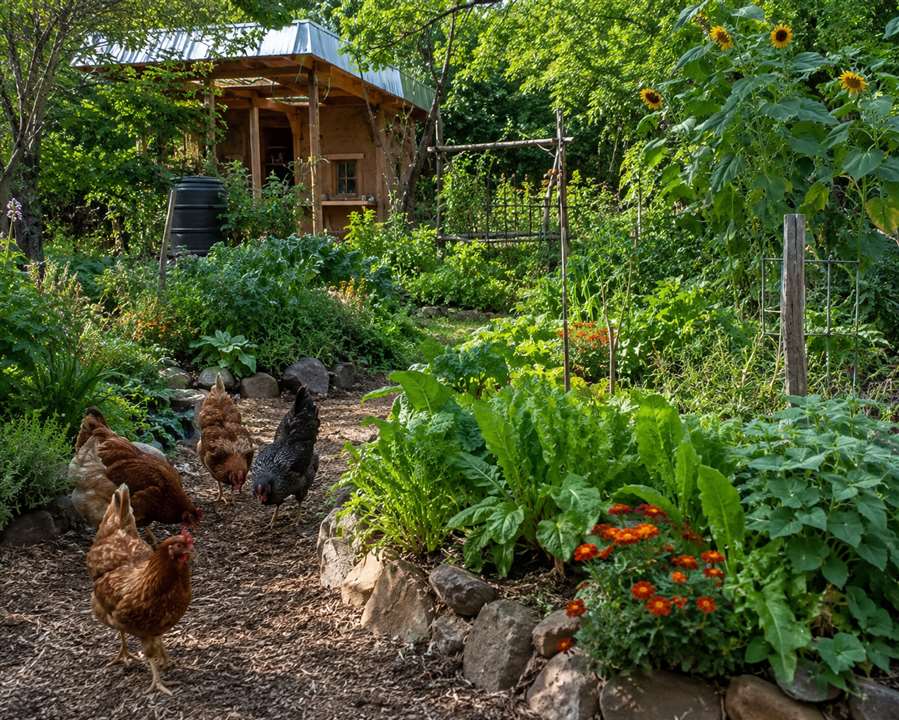 garden