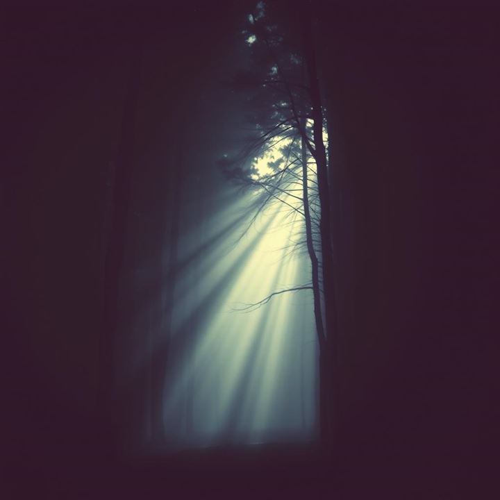light9