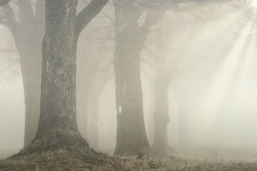 mist