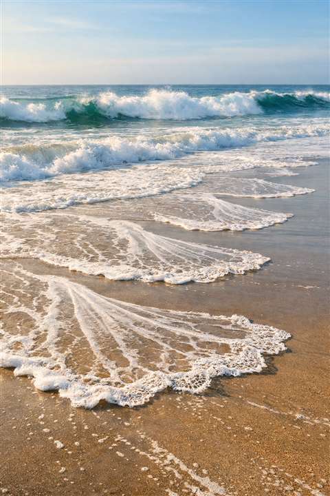veils on seashore