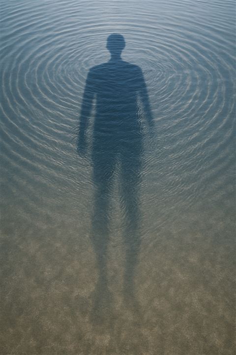 shadow swim