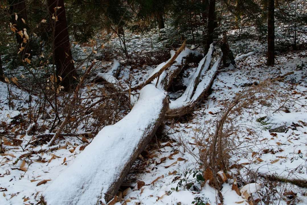 Buried