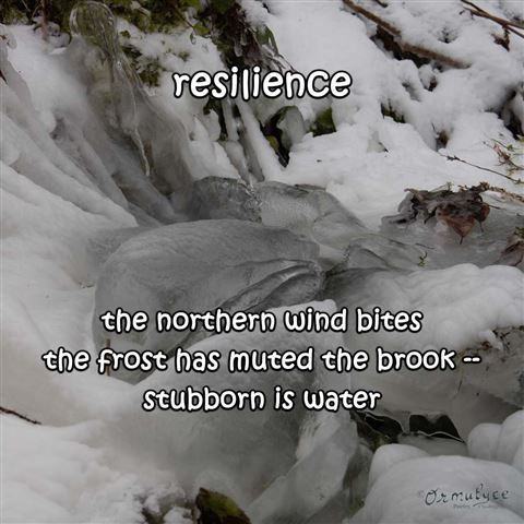 Resilience