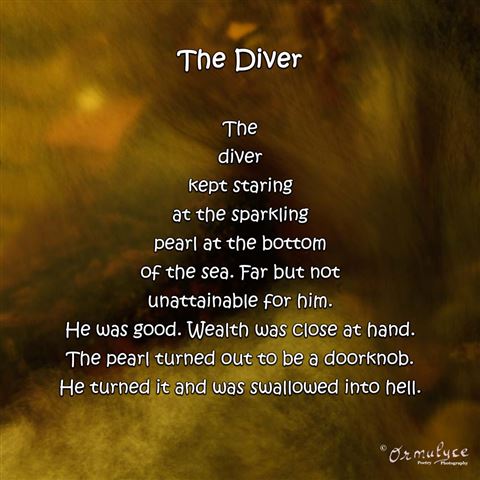 The Diver