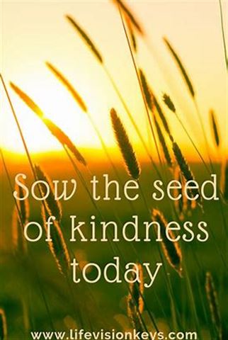 Planting Seeds Of Kindness Rls