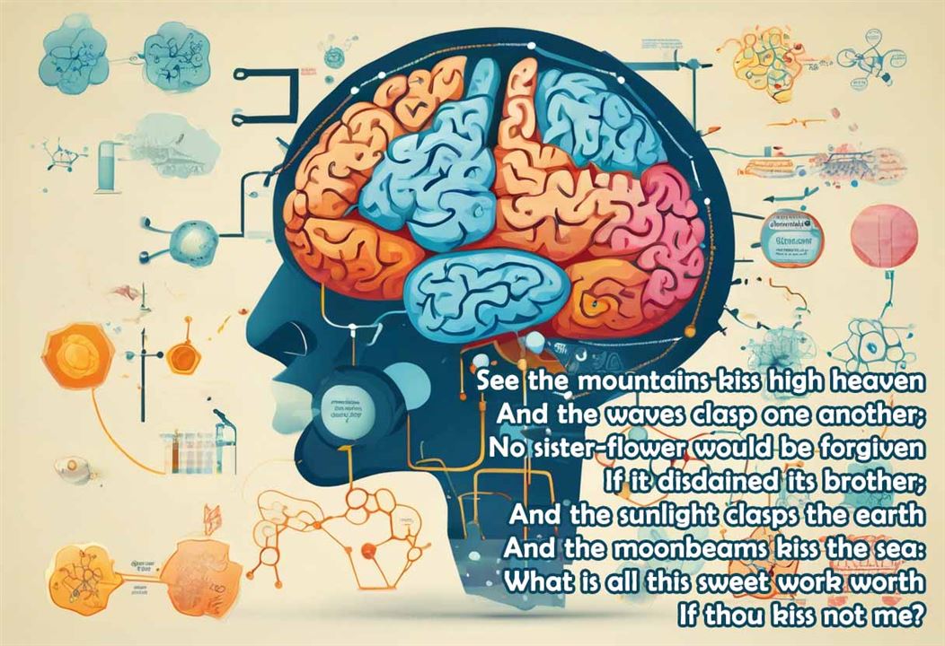 The Chemistry of Love and Poetry
