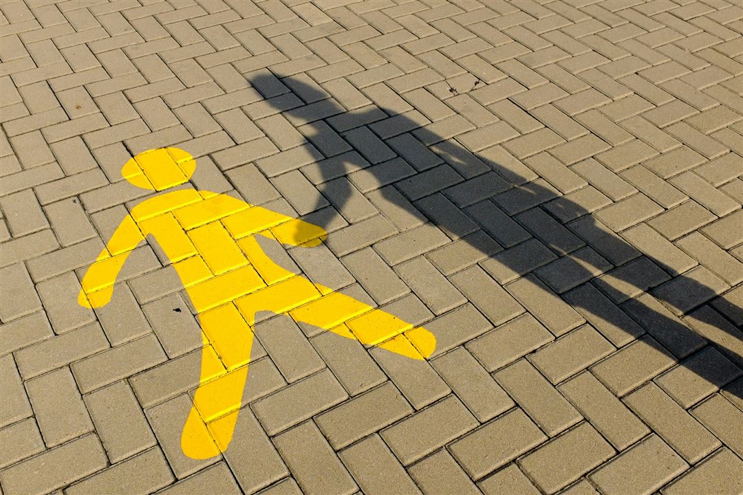Yellow Brick Road Companions
