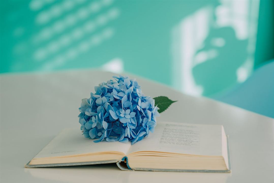 Poems in Social Networks: How Youth Are Changing the World of Poetry