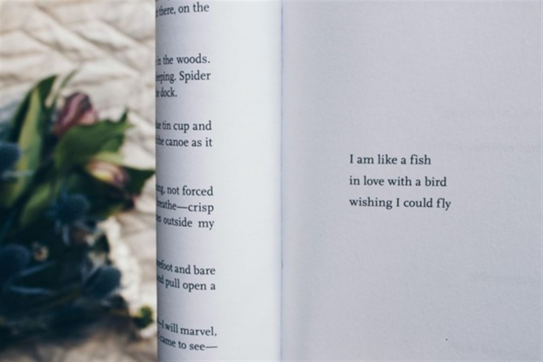 Poetry and Education