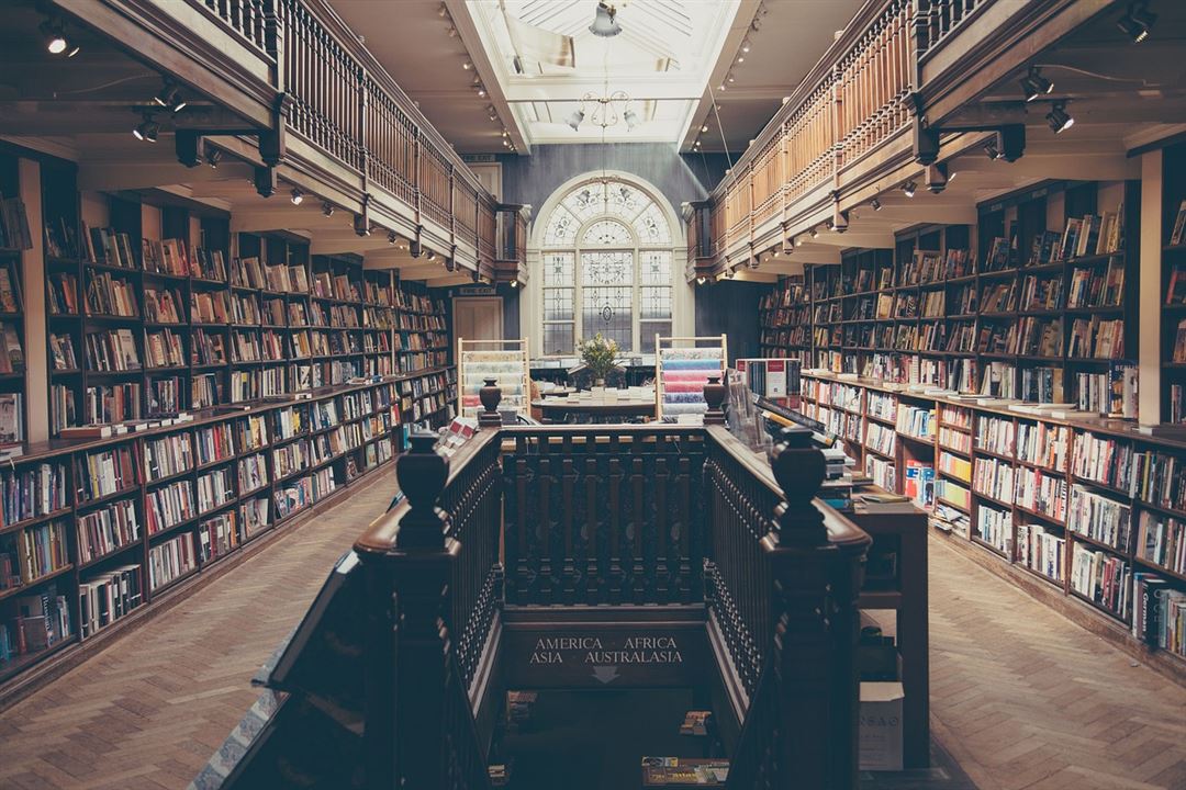 The Role of Poetry in University Literature Programs