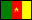 Cameroon Flag