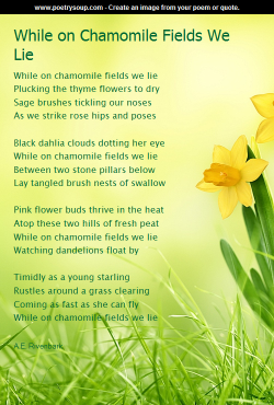 Poetry Art