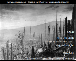 Poetry Art