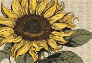 sunflower thumbnail