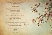 haiku thumbnail