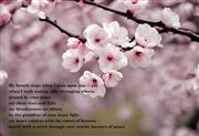spring thumbnail