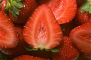 strawberry thumbnail